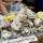 La Spezia: tre giorni di Italian Oyster Fest